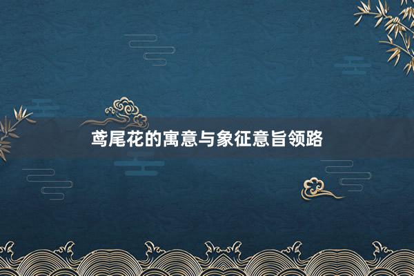 鸢尾花的寓意与象征意旨领路