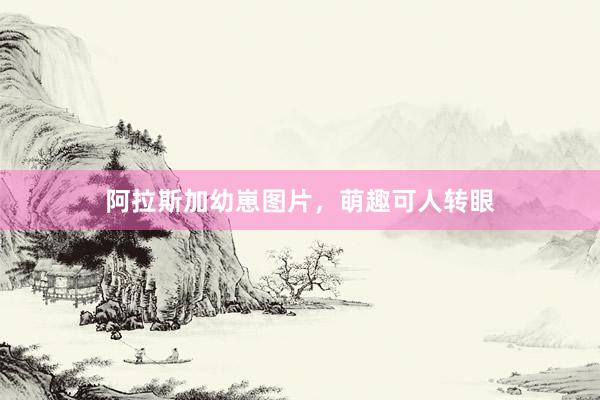 阿拉斯加幼崽图片，萌趣可人转眼